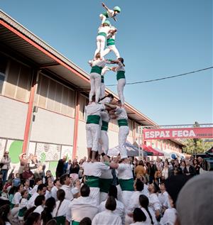 3d6 amb agulla