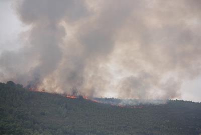 40 confinaments per incendis forestals des del juny amb més de 140.000 afectats . ACN