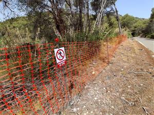 Activen un dispositiu per erradicar el cargol poma detectat al pantà de Foix