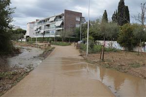 Afectats pels aiguats al Baix Penedès i al Tarragonès destaquen la intensitat de l'episodi. ACN