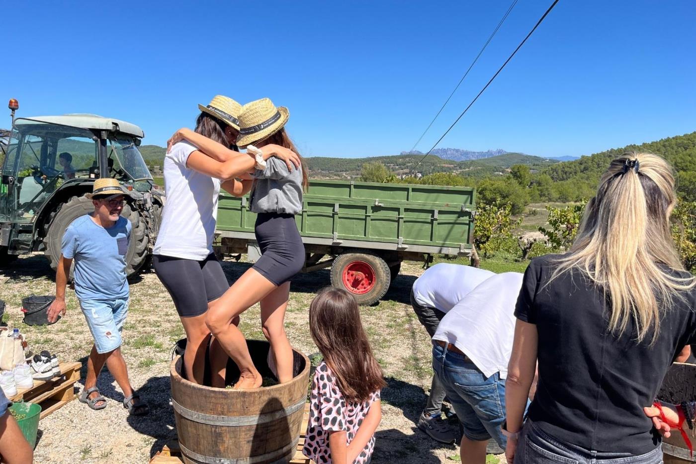 11a edició de La Verema del Cava