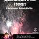 Cubelles+recupera+el+castell+de+focs+artificials