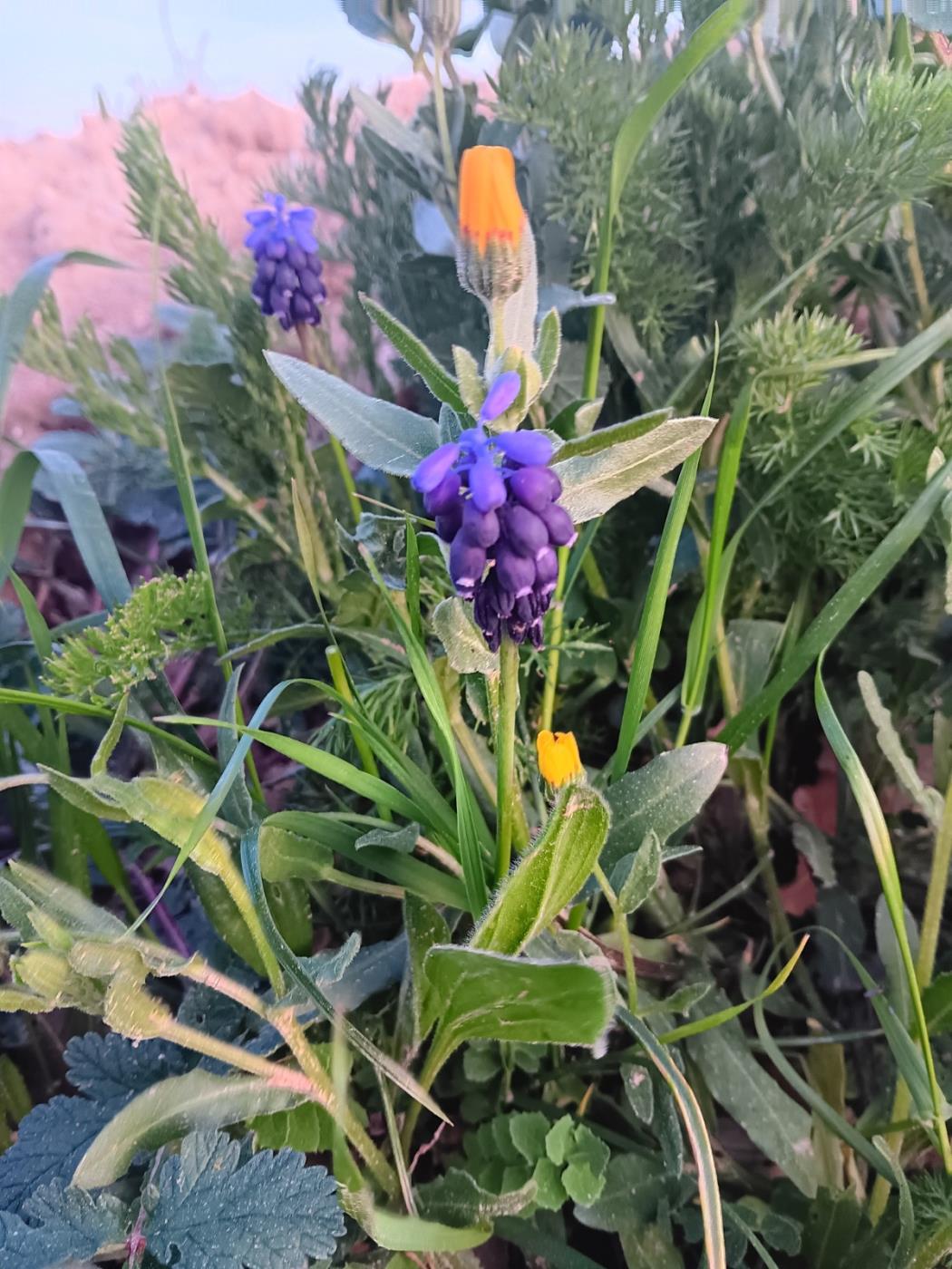 Diumenges a Sant Pau