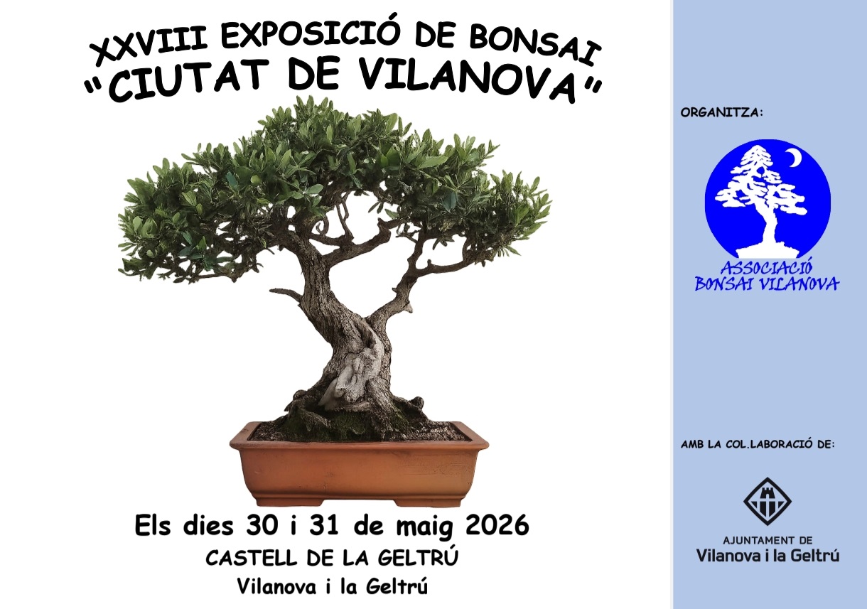 Exposició de Bonsais 