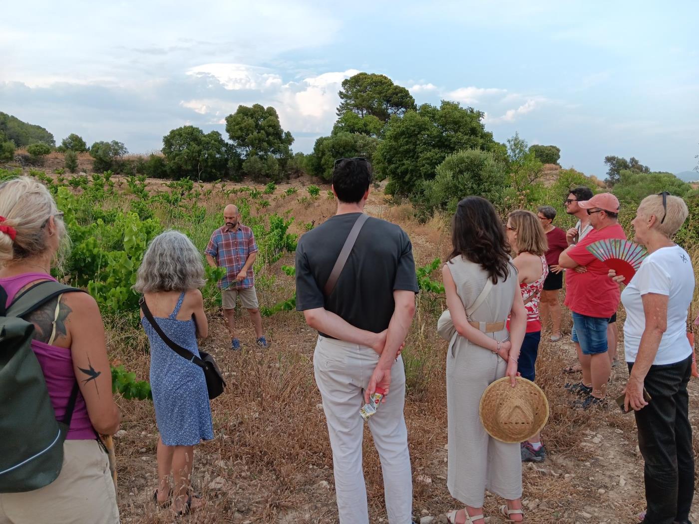 Itinerari guiat entre vinyes a Sant Pau en el marc del Vijazz