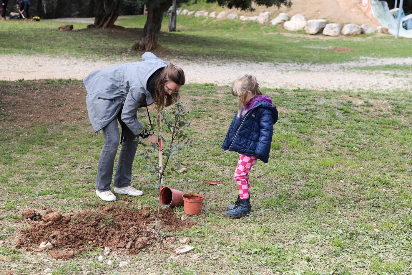 Jornada popular de plantada d’arbres