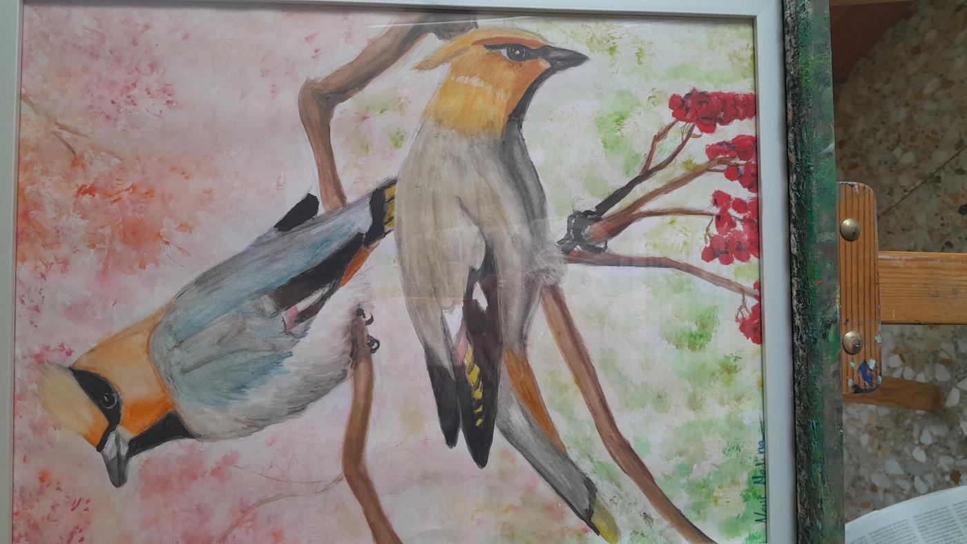 'La tendresa i el paisatge' de Neus Medina