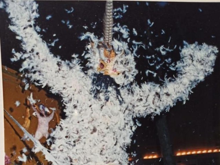 Moixó Foguer 1835 … 40 anys de mel i plomes