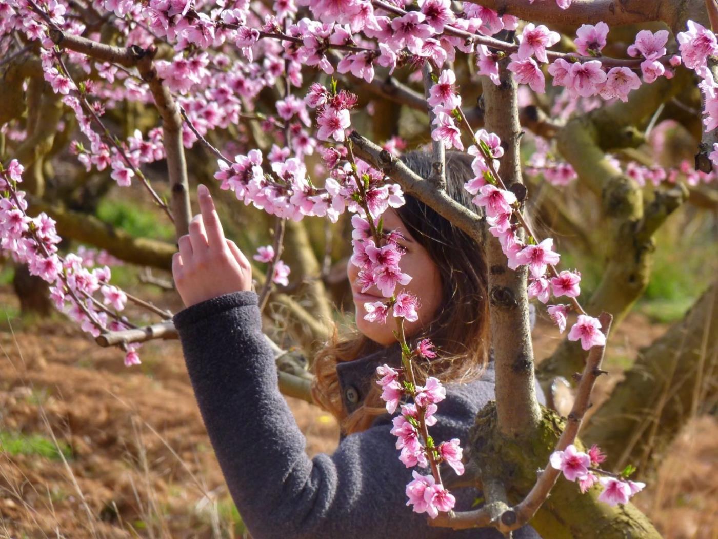 Passejades en època de floració per la terra del Préssec d'Ordal
