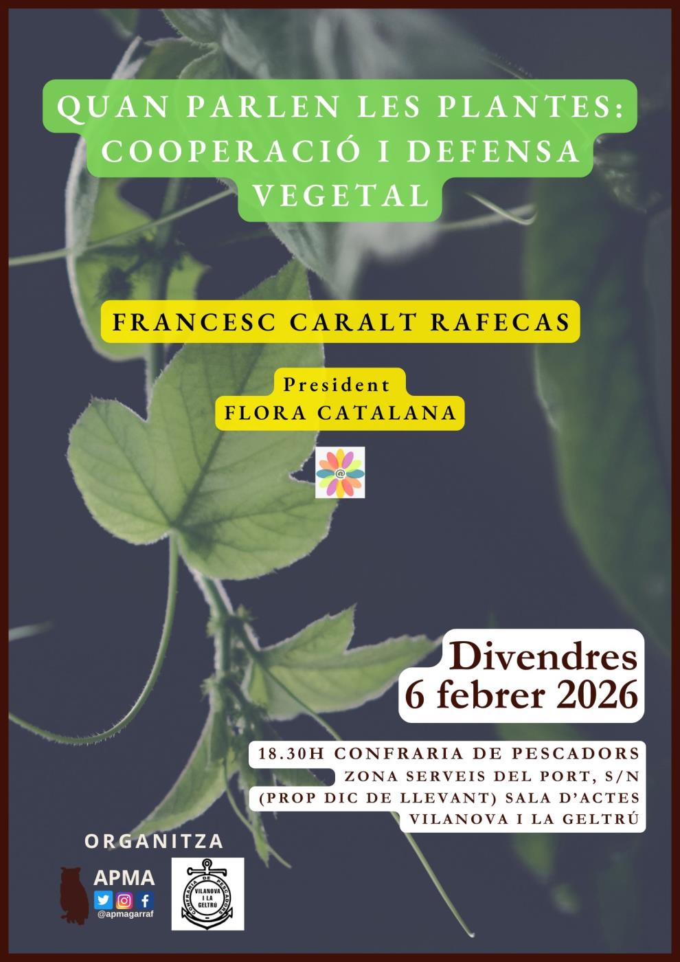 Quan parlen les plantes: cooperació i defensa vegetal