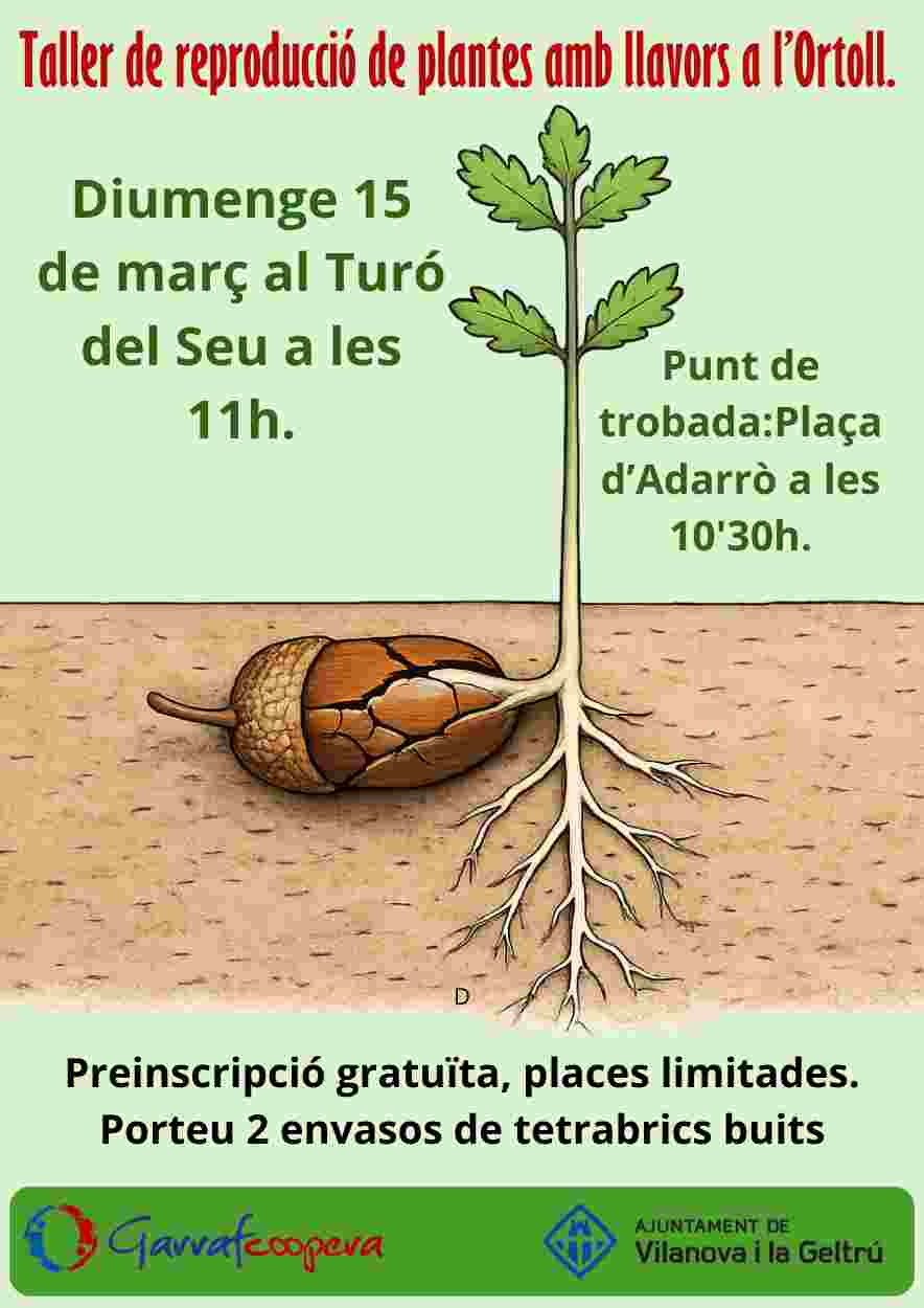 Reproducció de plantes amb llavors a l'Ortoll
