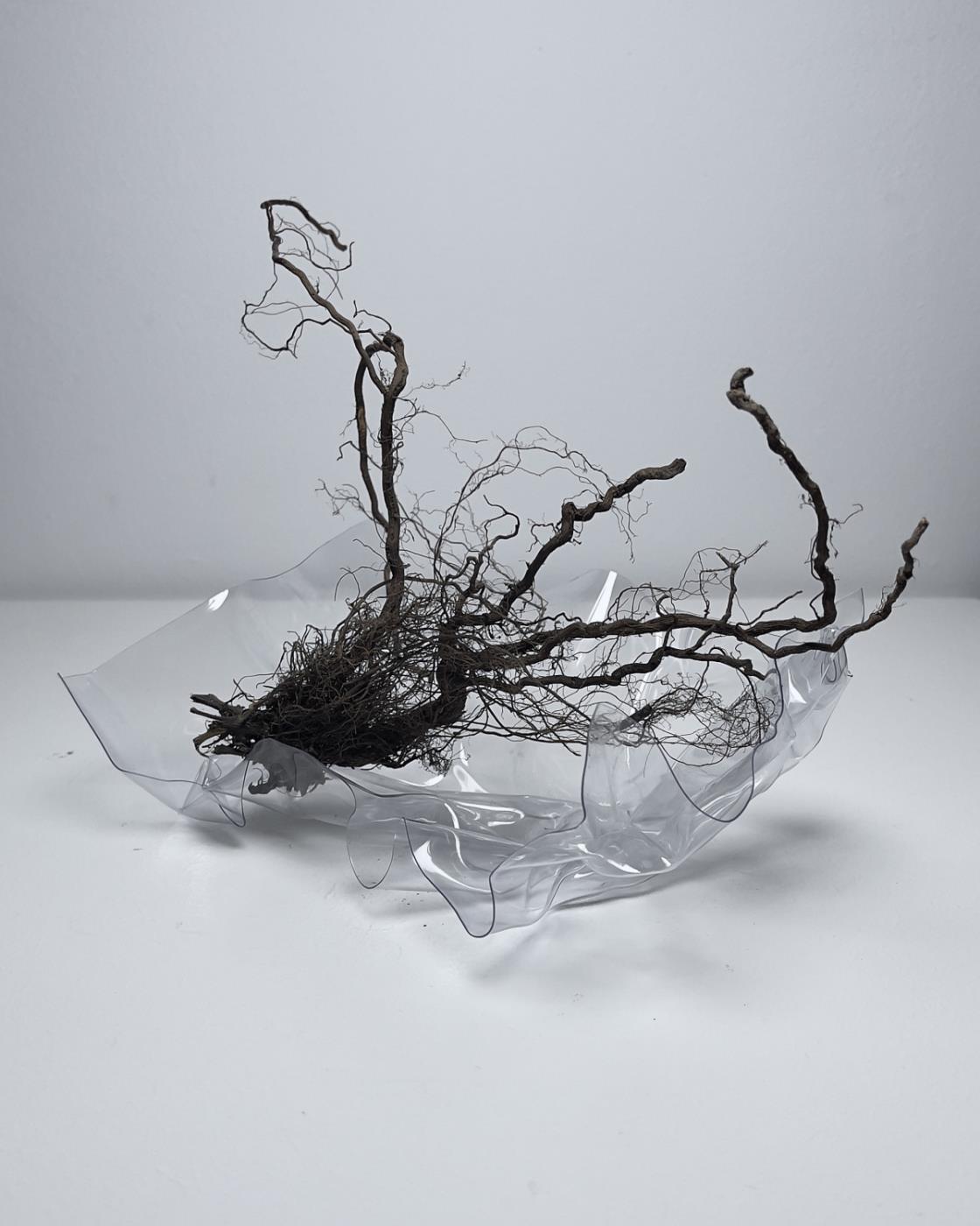 UNREAL, una proposta de l’artista visual Jordi Cabestany (KBS) 