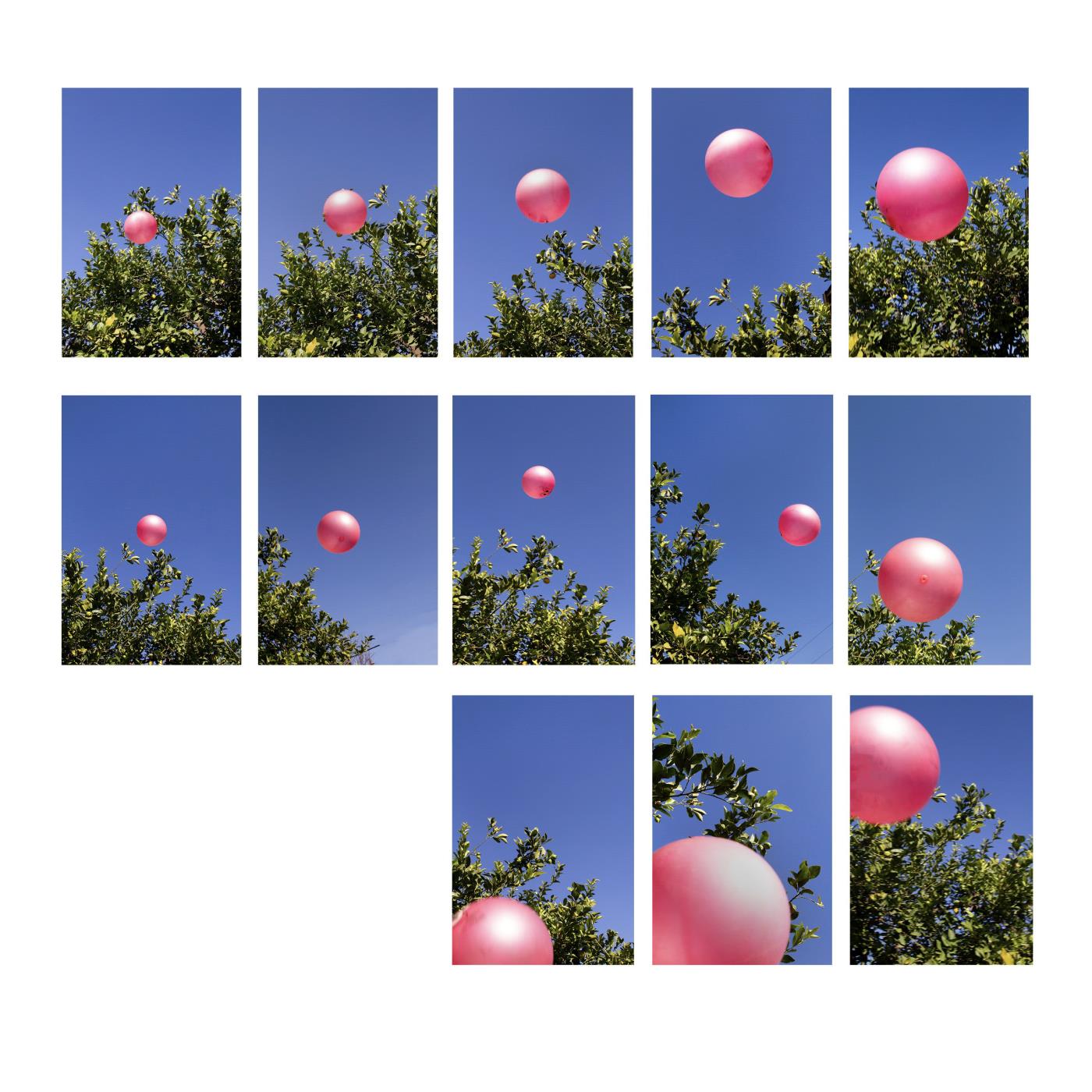 Were the days too few? 