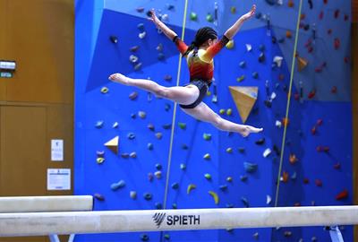 Ainet Grau Base 4M. Gimcat