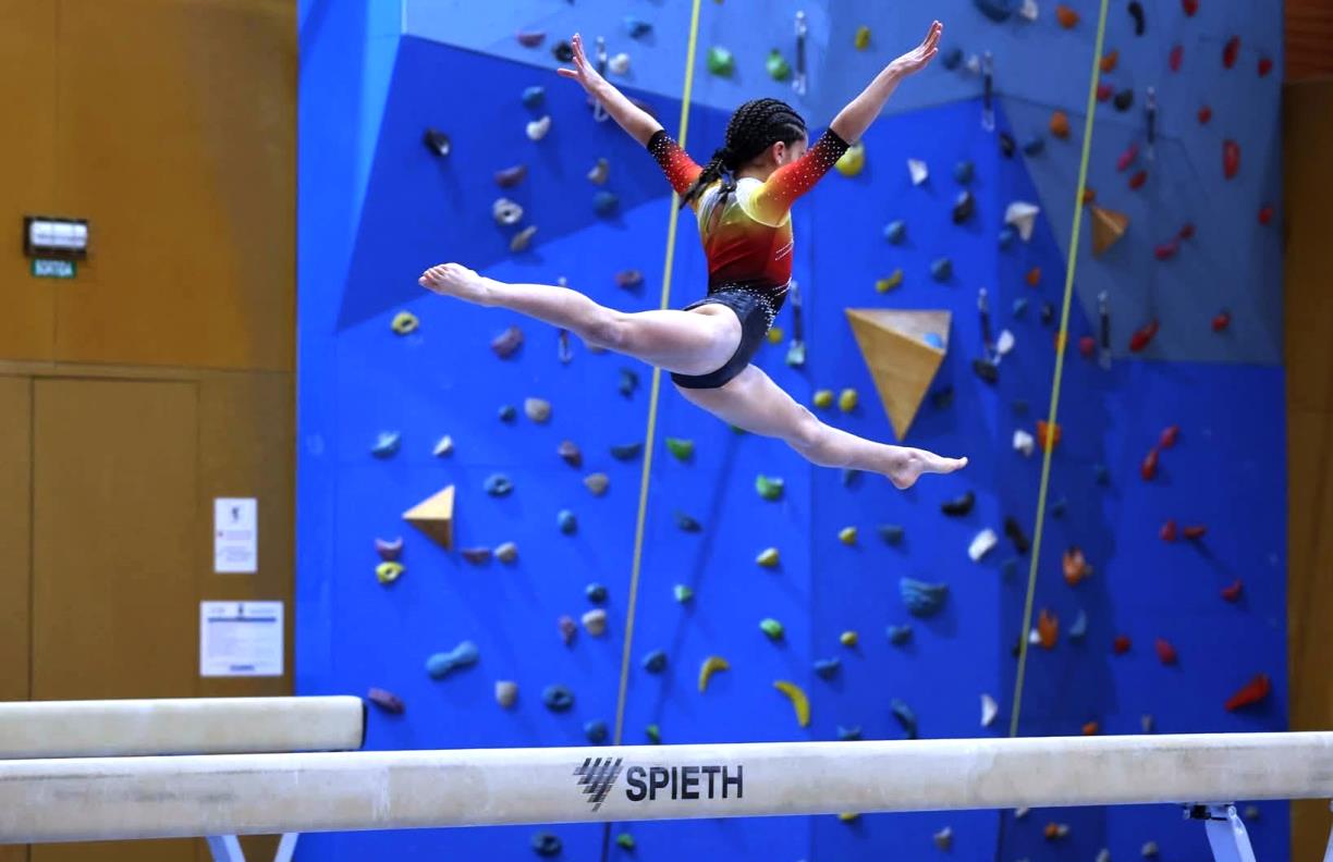 Ainet Grau Base 4M. Gimcat