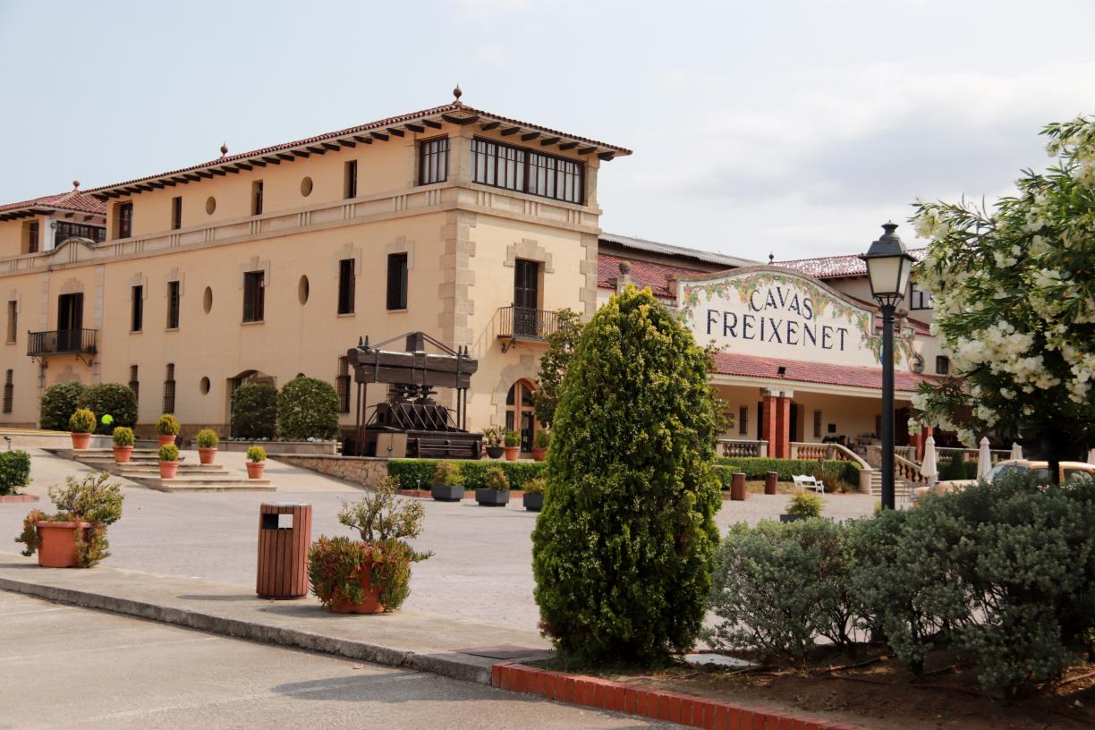 Aires de Garbet 2021 i Cuvée D.S.2019, distingits entre els millors vins 2026 pel Ministeri d'Agricultura. ACN