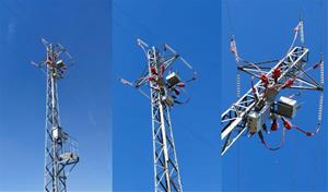 Ametller Origen i el Servei de Fauna i Flora impulsen mesures de protecció a les torres elèctriques de l’Agroparc de Gelida. EIX