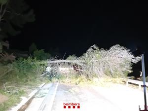 Arbre caigut a Gelida. Bombers