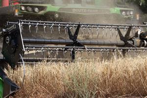 Arrenca la campanya del cereal a l'Anoia amb produccions que es preveuen 