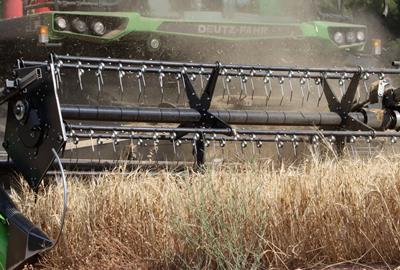 Arrenca la campanya del cereal a l'Anoia amb produccions que es preveuen "molt irregulars". ACN