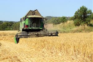 Arrenca la campanya del cereal a l'Anoia amb produccions que es preveuen 