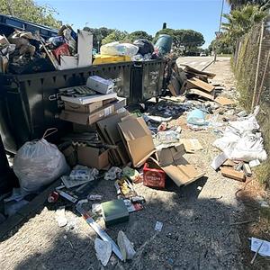 Brossa al carrer, contenidors del Vendrell