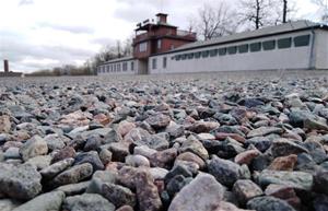 Buchenwald. Eix