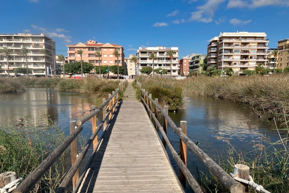 Calafell invertirà més de 258.000 euros en la recuperació de les dunes de Segur de Calafell. Ajuntament de Calafell