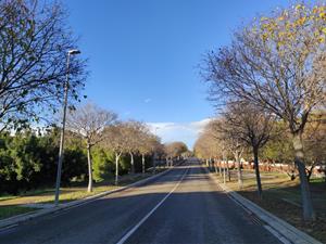 Calafell suspèn llicències a dos sectors urbanístics per estudiar nous equipaments i espais públics. Ajuntament de Calafell