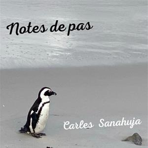 Carles Sanahuja reivindica el valor de la perspectiva amb el nou senzill 'Notes de pas'. EIX
