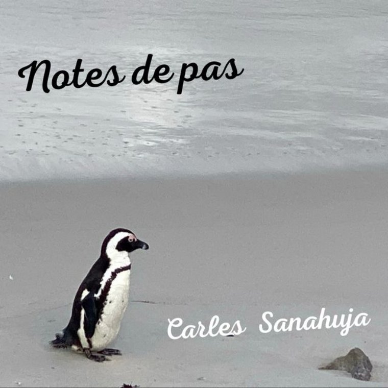 Carles Sanahuja reivindica el valor de la perspectiva amb el nou senzill 'Notes de pas'. EIX