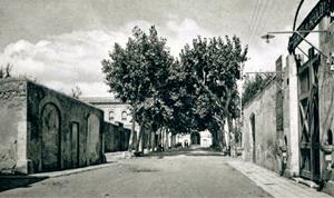 Carrer Sant Josep de Vilanova. Eix