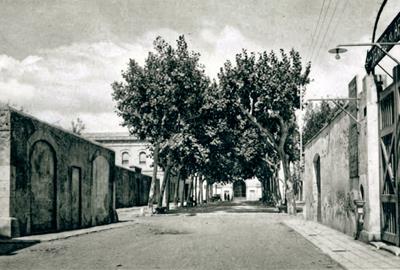 Carrer Sant Josep de Vilanova. Eix