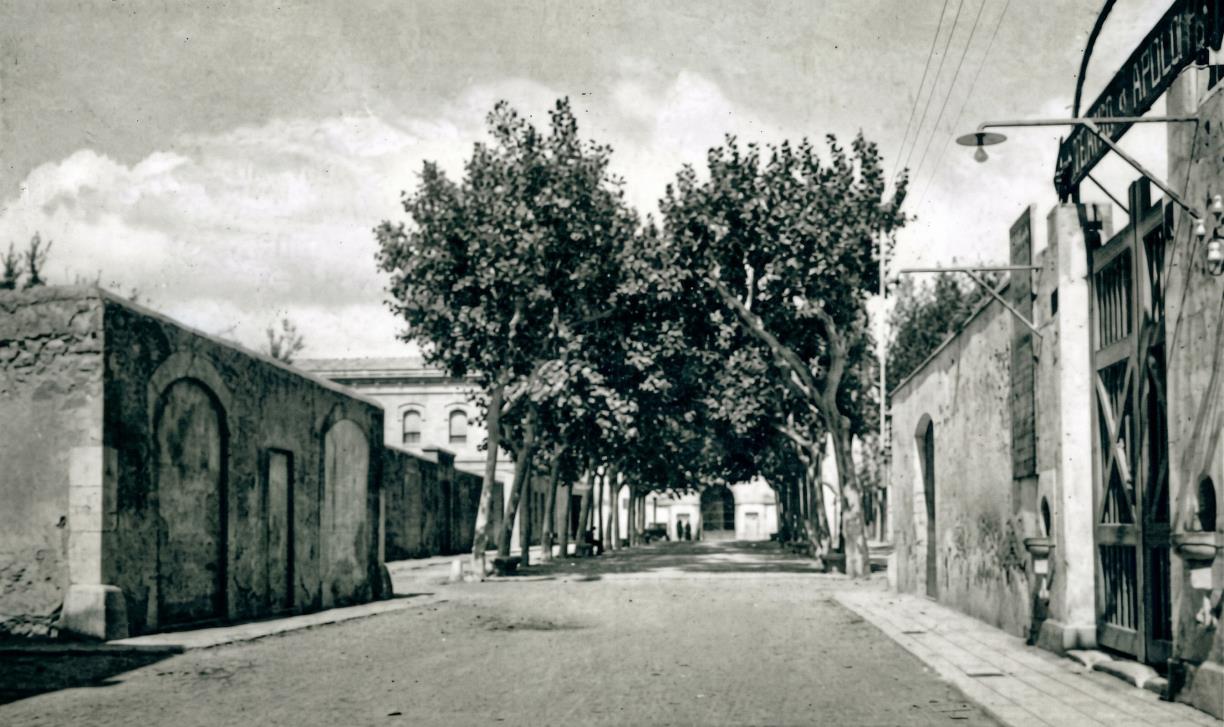 Carrer Sant Josep de Vilanova. Eix