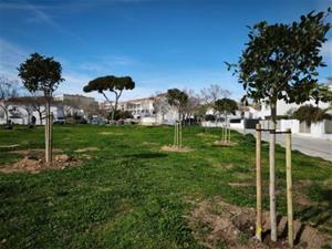Comença la plantació de més de 300 arbres a Vilanova i la Geltrú