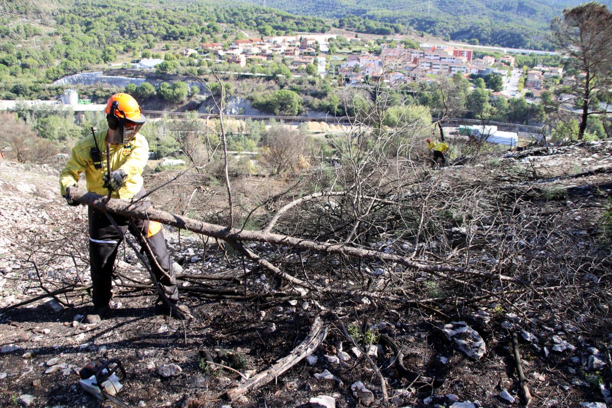 Comença la tala d'arbres a la zona afectada per l'incendi de Carme per evitar l'erosió del sòl en cas de pluges. ACN