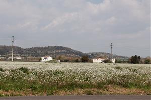 Comença la urbanització d'un nou polígon industrial a Vilafranca amb previsió de crear 800 llocs de treball directes