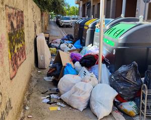 contenidors de brossa del Vendrell Rambla Cañas