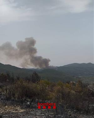 Declarat un nou incendi a Aiguamúrcia, el cinquè d'aquesta setmana amb una trentena de dotacions activades. ACN