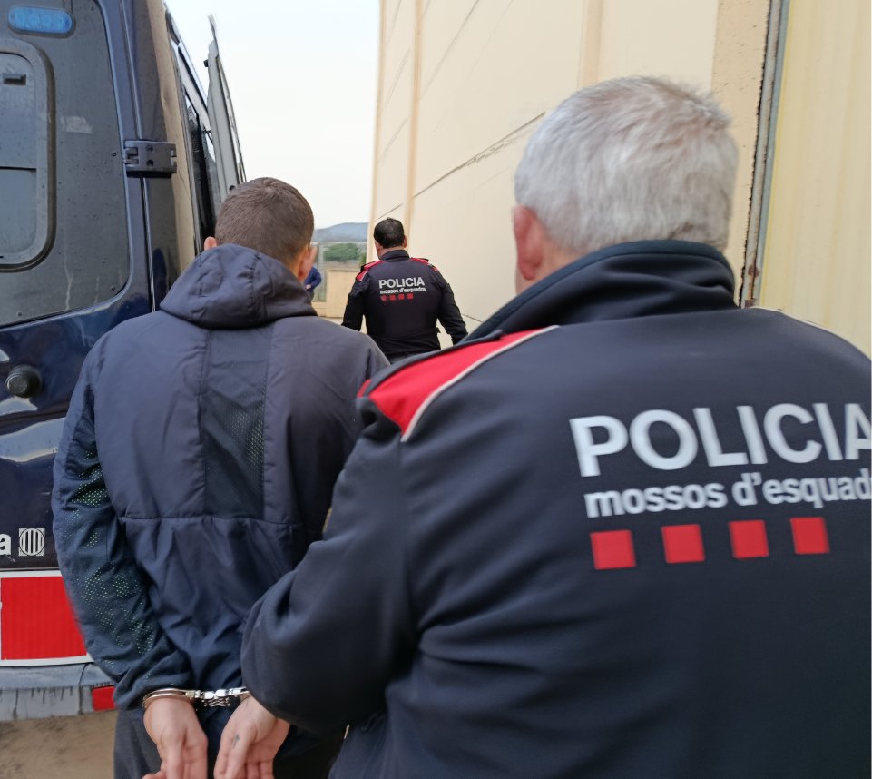 Detingut un home i desmantellada una plantació de marihuana en una nau industrial de Llorenç del Penedès. Mossos d'Esquadra
