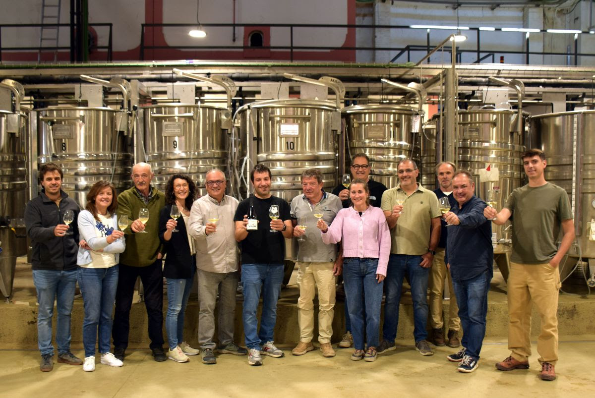 El 540 Nits de Joan Grill, primer Clàssic Penedès del Viver de Cellers de la DO Penedès. DO Penedès