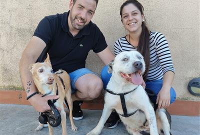 El CAAD Penedès tanca el 2025 amb menys abandonaments i més adopcions. Mancomunitat