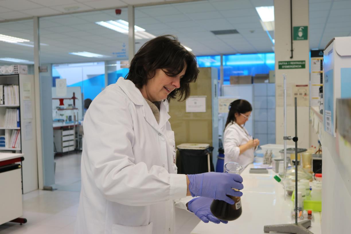 El Campus Universitari Igualada-UdL impulsa antioxidants a partir de restes d’oliva per a cosmètica. Campus d'Igualada