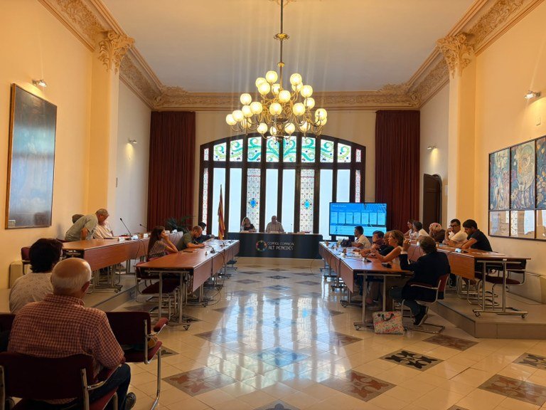 El Consell d'Alcaldies de l'Alt Penedès escolta les reivindicacions per reforçar l'Hospital Comarcal. CC Alt Penedès