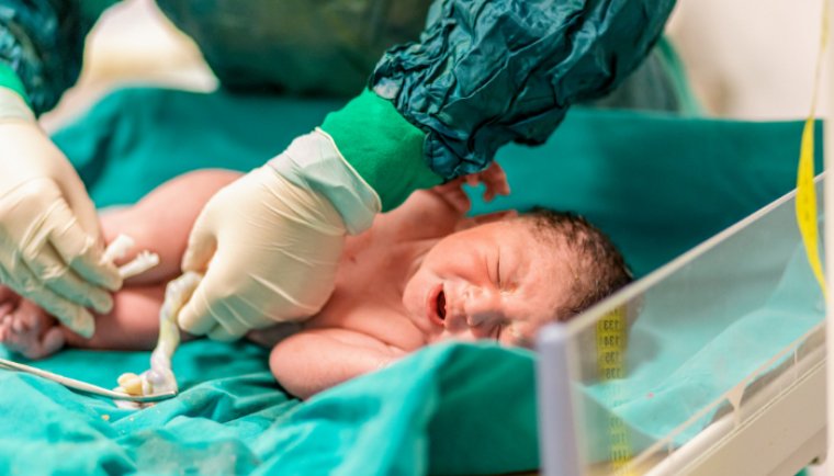 El CSAPG consolida el seu paper com a centre referent en la donació de sang de cordó umbilical. CSAPG