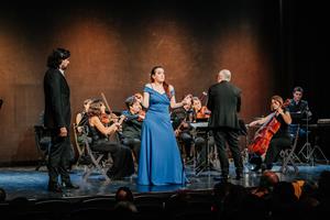 El Festival Udaeta rep el reconeixement de la Fundación–Archivo Manuel de Falla de Granada