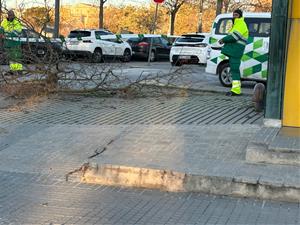El fort vent obliga a ajornar l’Arribada del Rei Carnestoltes a Vilafranca i genera una quarantena d’incidències a la ciutat