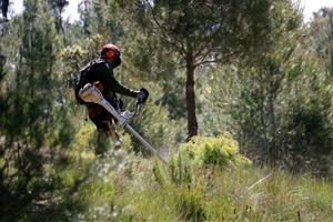 El Govern defineix 14 eixos de confinament d'incendis al territori per evitar que el foc salti d'un massís a un altre. ACN