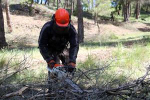El Govern defineix 14 eixos de confinament d'incendis al territori per evitar que el foc salti d'un massís a un altre