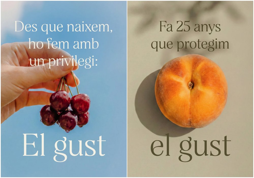 “El gust és nostre”: Ametller Origen reivindica el gust autèntic amb la seva nova estratègia de marca. EIX